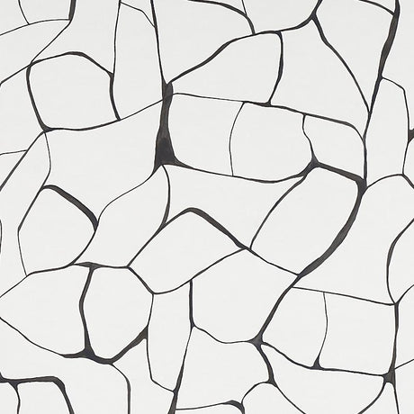 Schumacher Filigree Black Wallpaper