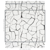 Schumacher Filigree Black Wallpaper