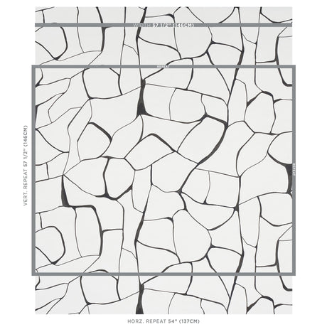 Schumacher Filigree Black Wallpaper