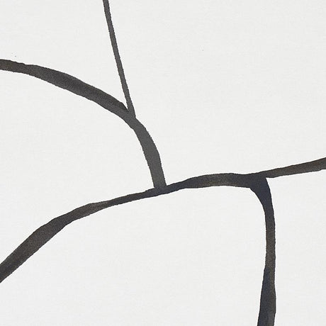 Schumacher Filigree Black Wallpaper