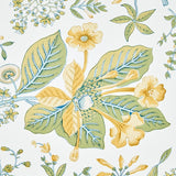 Schumacher Pomegranate Botanical Citron Wallpaper