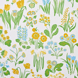 Schumacher Carly Sky Wallpaper