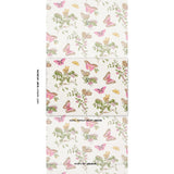Schumacher Baudin Butterfly Blush Wallpaper