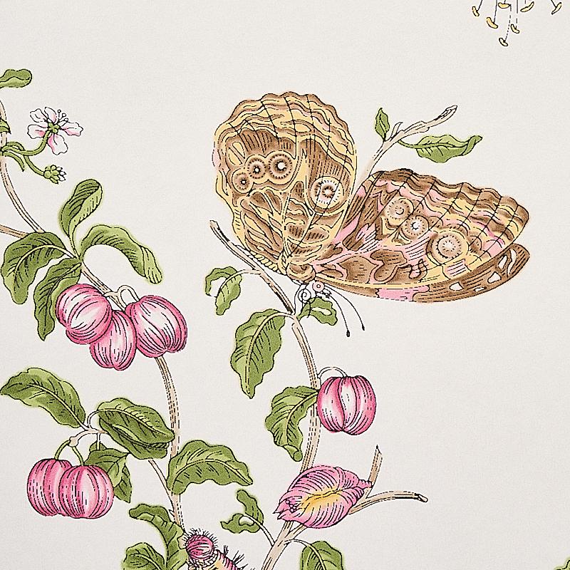 Schumacher Baudin Butterfly Blush Wallpaper