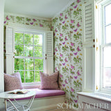 Schumacher Baudin Butterfly Blush Wallpaper