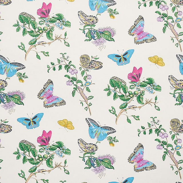 Schumacher Baudin Butterfly Turquoise Wallpaper