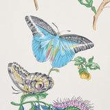 Schumacher Baudin Butterfly Turquoise Wallpaper