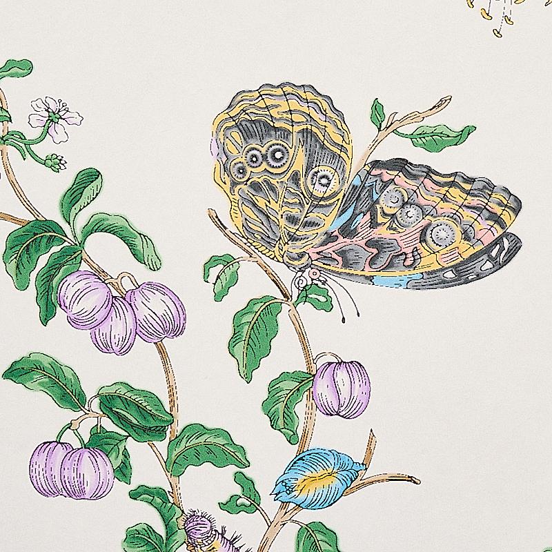 Schumacher Baudin Butterfly Turquoise Wallpaper