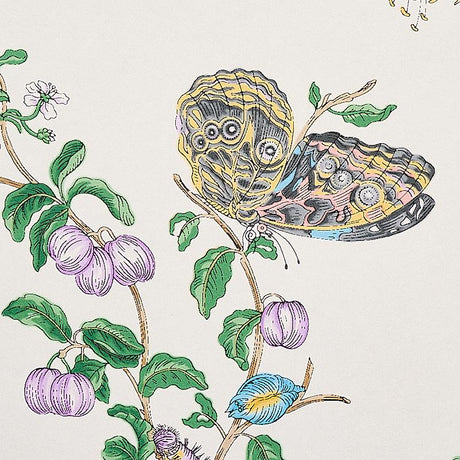 Schumacher Baudin Butterfly Turquoise Wallpaper