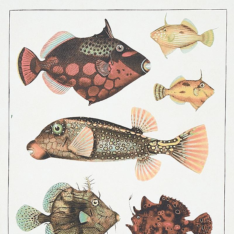 Schumacher Bauhin Document Multi Wallpaper