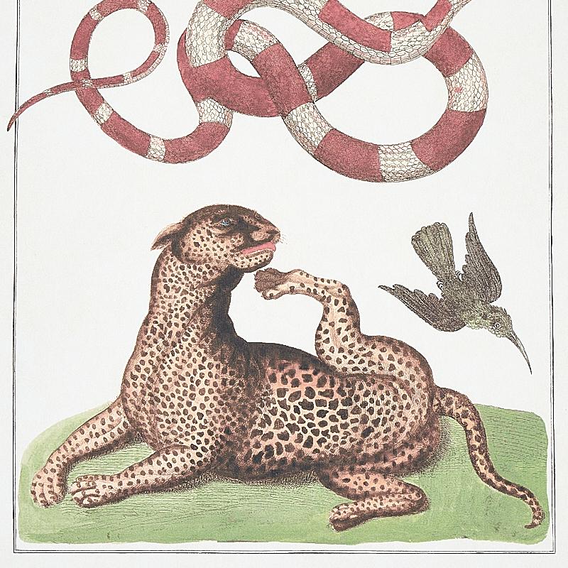 Schumacher Bauhin Document Multi Wallpaper