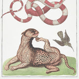 Schumacher Bauhin Document Multi Wallpaper