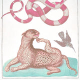 Schumacher Bauhin Soft Multi Wallpaper