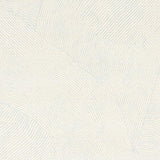 Schumacher Burnett Sisal Sky Wallpaper – DecoratorsBest