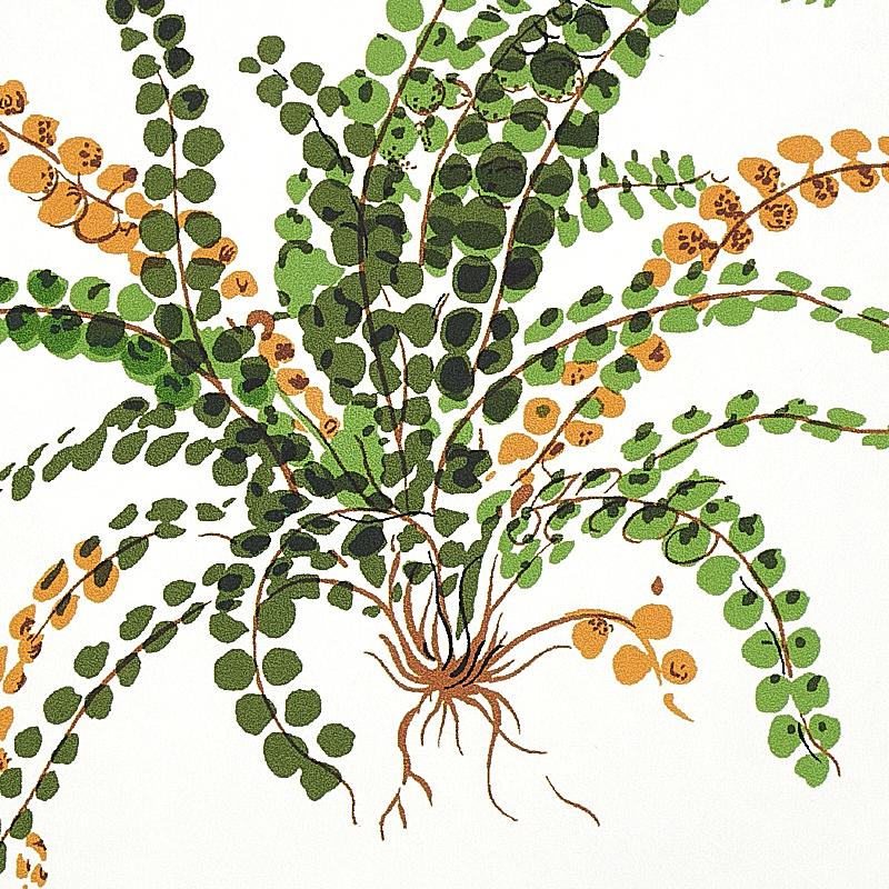 Schumacher Les Fougeres Document Wallpaper