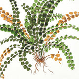 Schumacher Les Fougeres Document Wallpaper