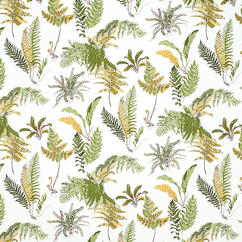 Schumacher Les Fougeres Spring Wallpaper
