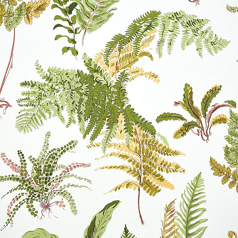 Schumacher Les Fougeres Spring Wallpaper