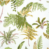 Schumacher Les Fougeres Spring Wallpaper