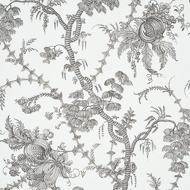 Schumacher San Cristobal Toile Black Wallpaper