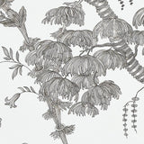 Schumacher San Cristobal Toile Black Wallpaper