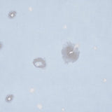 Schumacher Stellar Blue Wallpaper