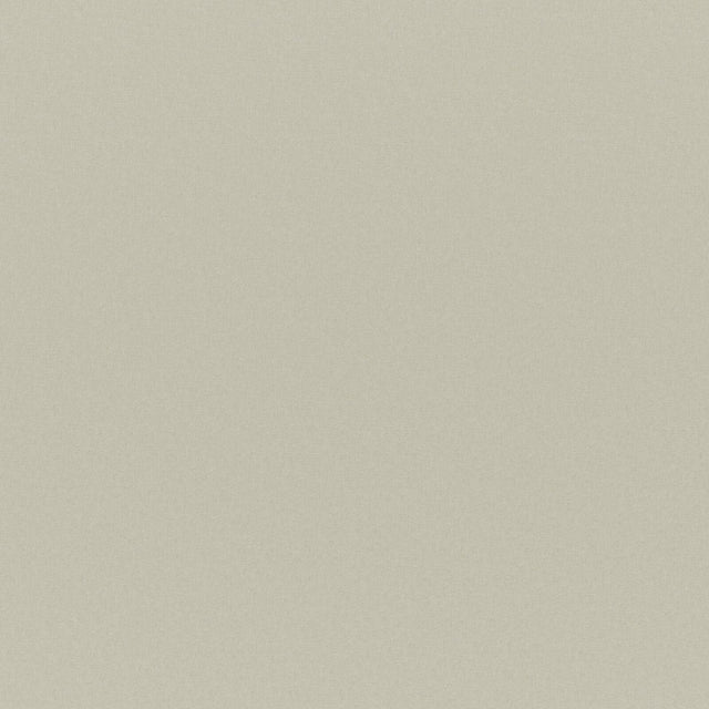 Maxwell CADENZA #711 NATURAL Fabric