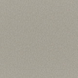 Maxwell PATAGONIA #216 RATTAN Upholstery Fabric