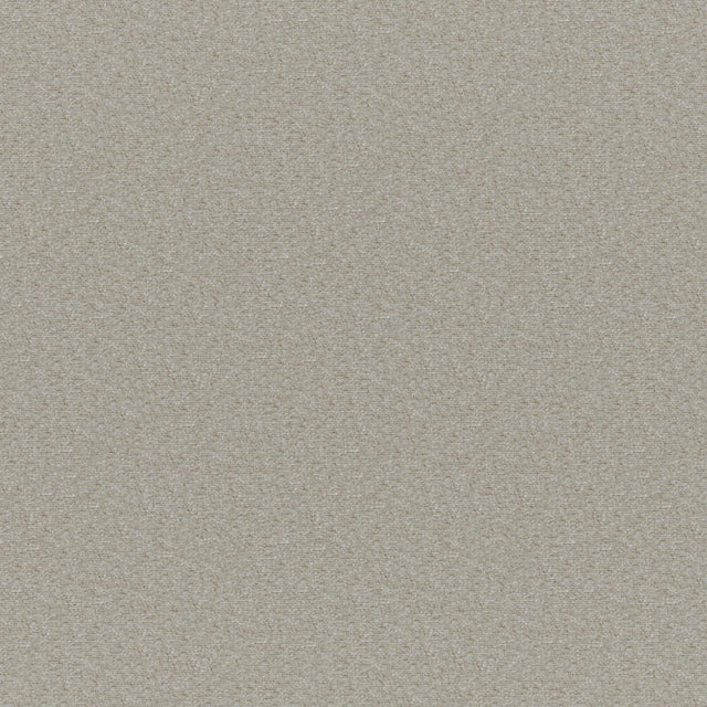 Maxwell PATAGONIA #216 RATTAN Upholstery Fabric