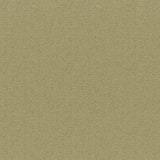 Maxwell PATAGONIA #840 LEMONGRASS Upholstery Fabric