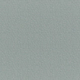 Maxwell ROCKHOPPER #848 FOAM Upholstery Fabric