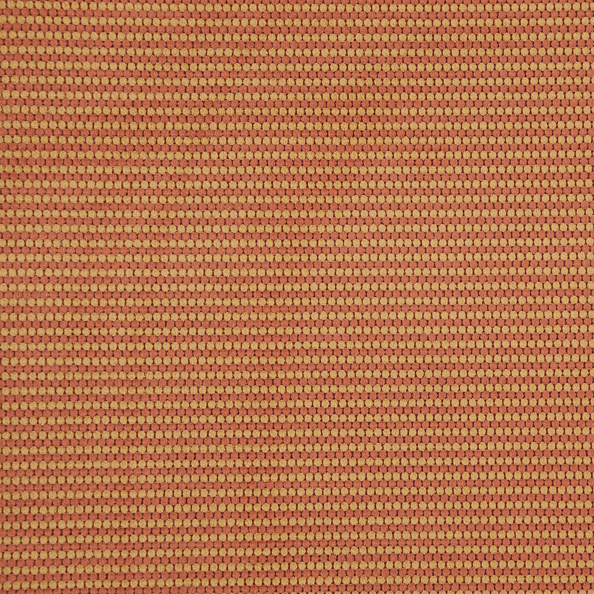 Maxwell MACAW #503 SIENNA Upholstery Fabric