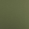 Maxwell FIDELIO #742 MOSS Fabric