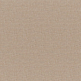 Maxwell CARACARA #542 CINNAMON Upholstery Fabric