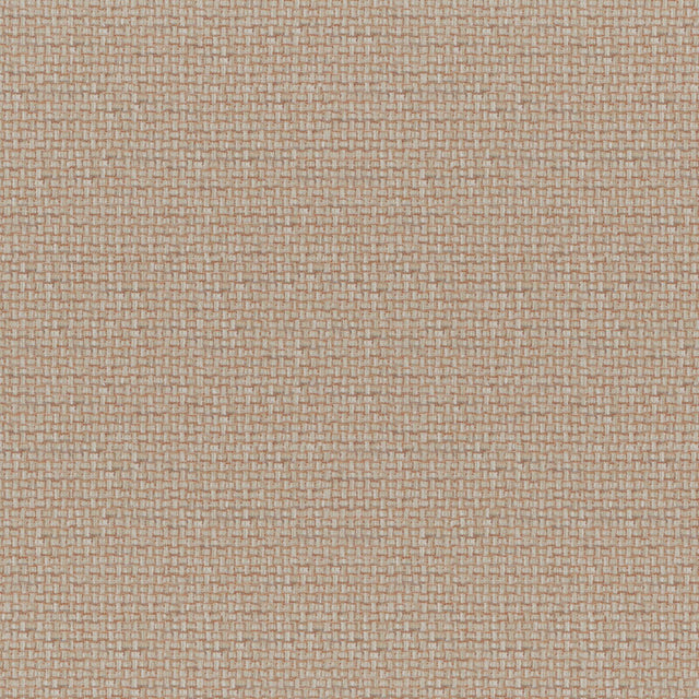 Maxwell CARACARA #542 CINNAMON Upholstery Fabric