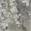 Maxwell TRAILING MAGNOLIA (WP) #04 BURNISHED Wallpaper