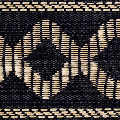 Schumacher Black Briar Raffia Tape