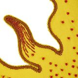 Schumacher Helios Appliqu Yellow Trim