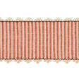 Schumacher Obi Tape Rose Trim
