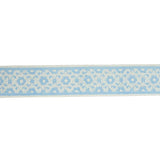 Schumacher Sky Brinda Hand Blocked Tape