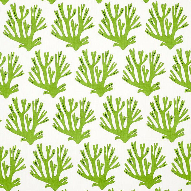 Schumacher Coral Green Fabric