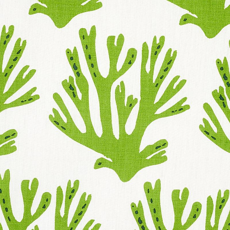 Schumacher Coral Green Fabric