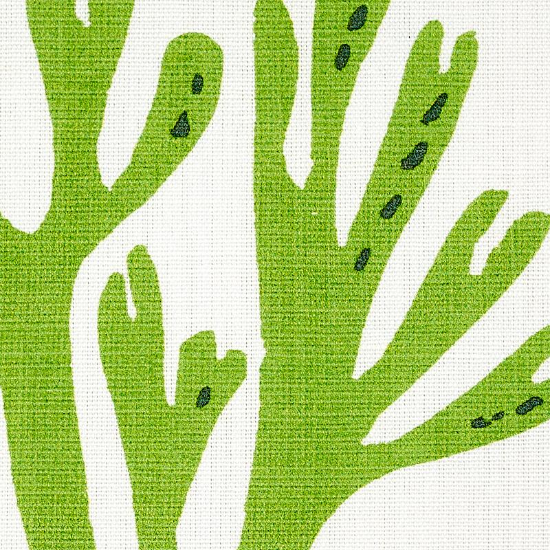 Schumacher Coral Green Fabric