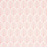 Schumacher Mini Burchettes Pink Fabric