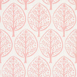 Schumacher Mini Burchettes Pink Fabric