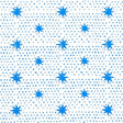 Schumacher Spot & Star Blue Fabric