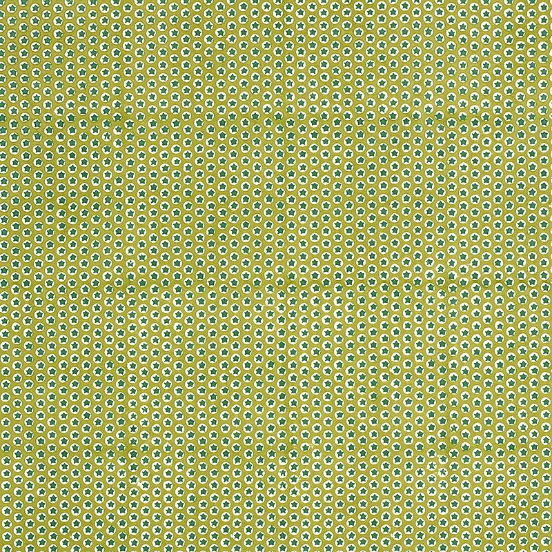 Schumacher Tuk Tuk Hand Block Print Green Fabric