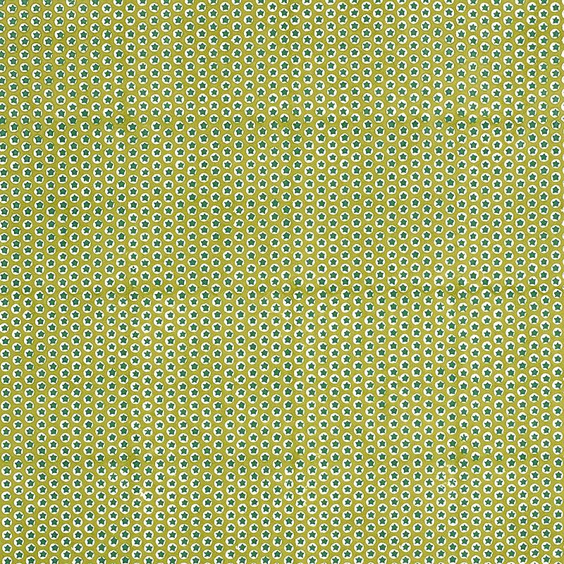 Schumacher Tuk Tuk Hand Block Print Green Fabric