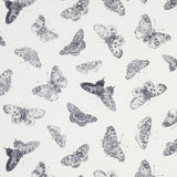 Schumacher Burnell Butterfly Black Fabric