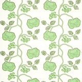 Schumacher Queen Fruit Chintz Jade Fabric